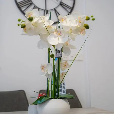 Seaview Suite49 Steps To Mackenzie Beach Larnaca 公寓 拉纳卡