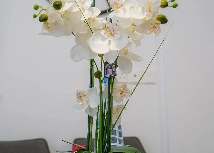 Seaview Suite49 Steps To Mackenzie Apartmán Larnaca